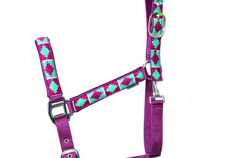 Hy Equestrian Woven Polo Head Collar And Lead Rope - Aqua/Fig-1